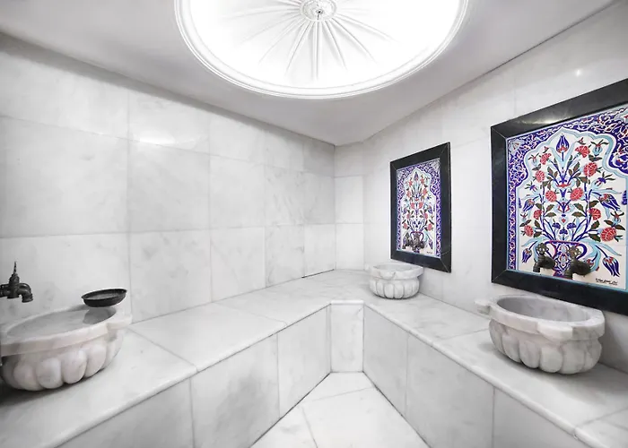 Ξενοδοχείο White Monarch 4*